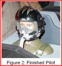Figure 2: Finshed Pilot