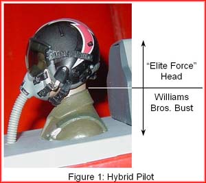 Figure 1: Hybrid Pilot